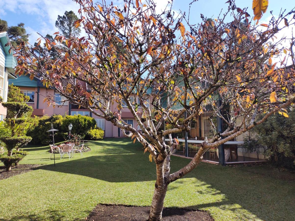 Agradavel 2quartos Familia Prox Ao Negro - 4 Min Do Centro- Com Churrasqueira Apartment